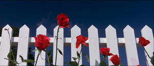 02-roses.png
