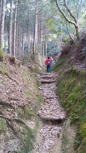 IMG_20170104_154047.jpg