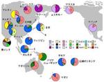 img_dkeitou.jpg