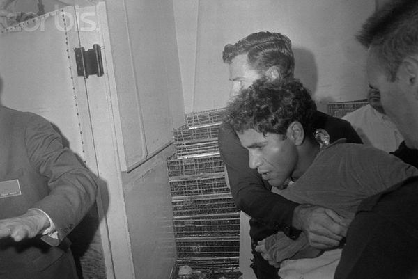 sirhansirhan.jpg